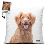 Pet Art - Custom - Throw Pillow